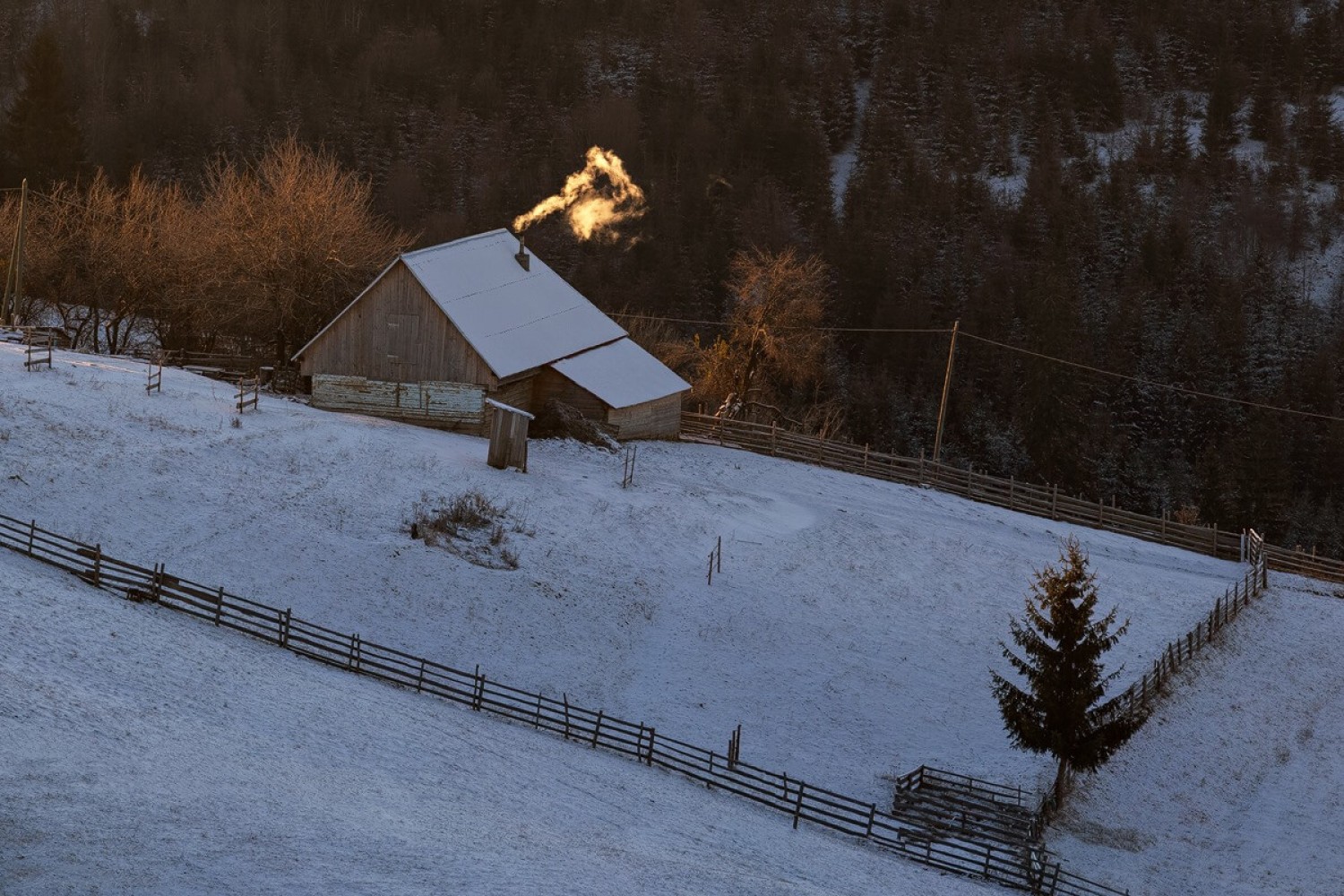 Pasul Tihuța - pastorală de iarnă