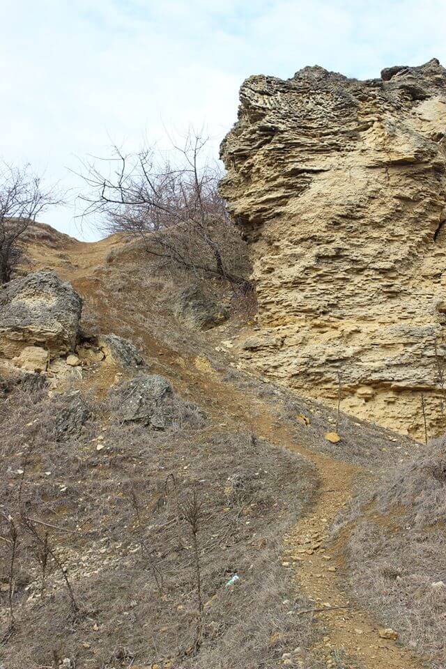 Rezervația Repedea 