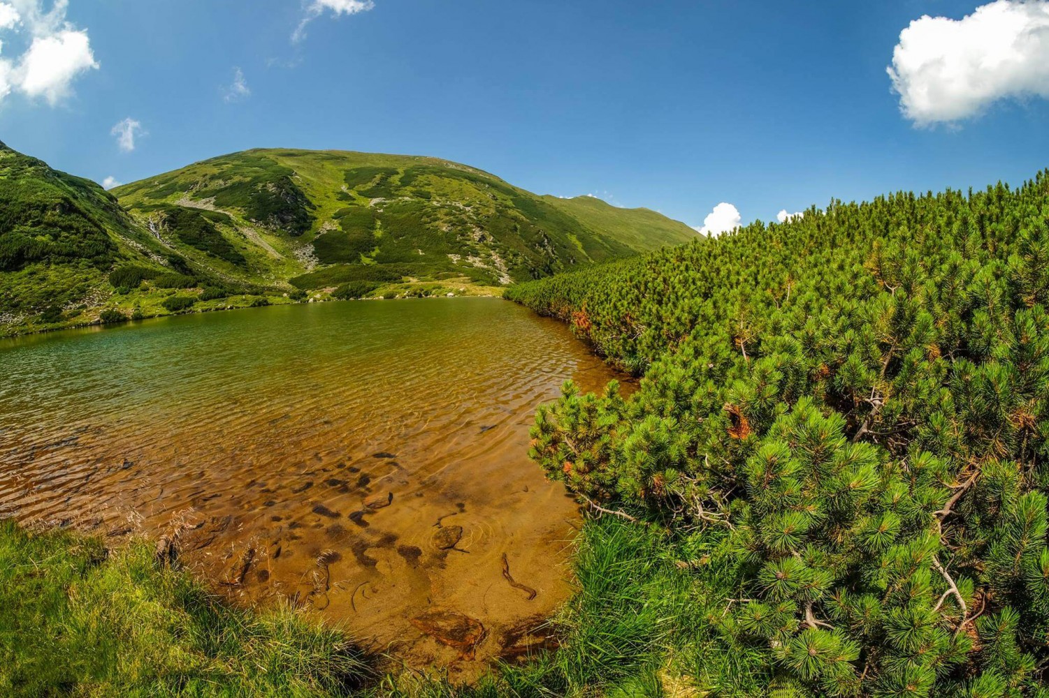 Lacul Lala Mare - lacul și vârful Pleșcuța