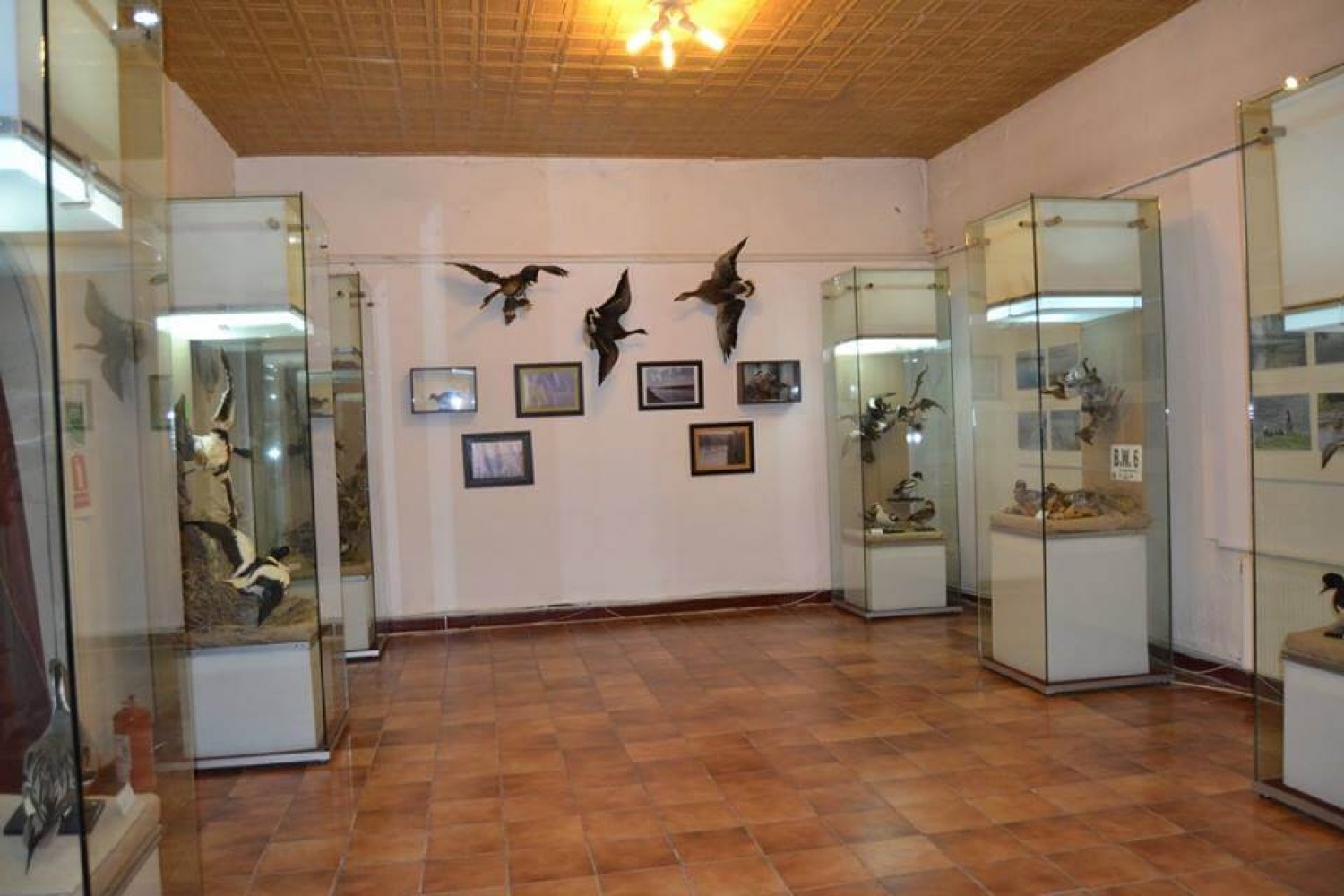 Muzeu Călărași