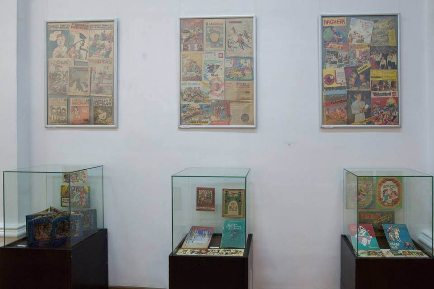 Muzeul Vasile Pârvan