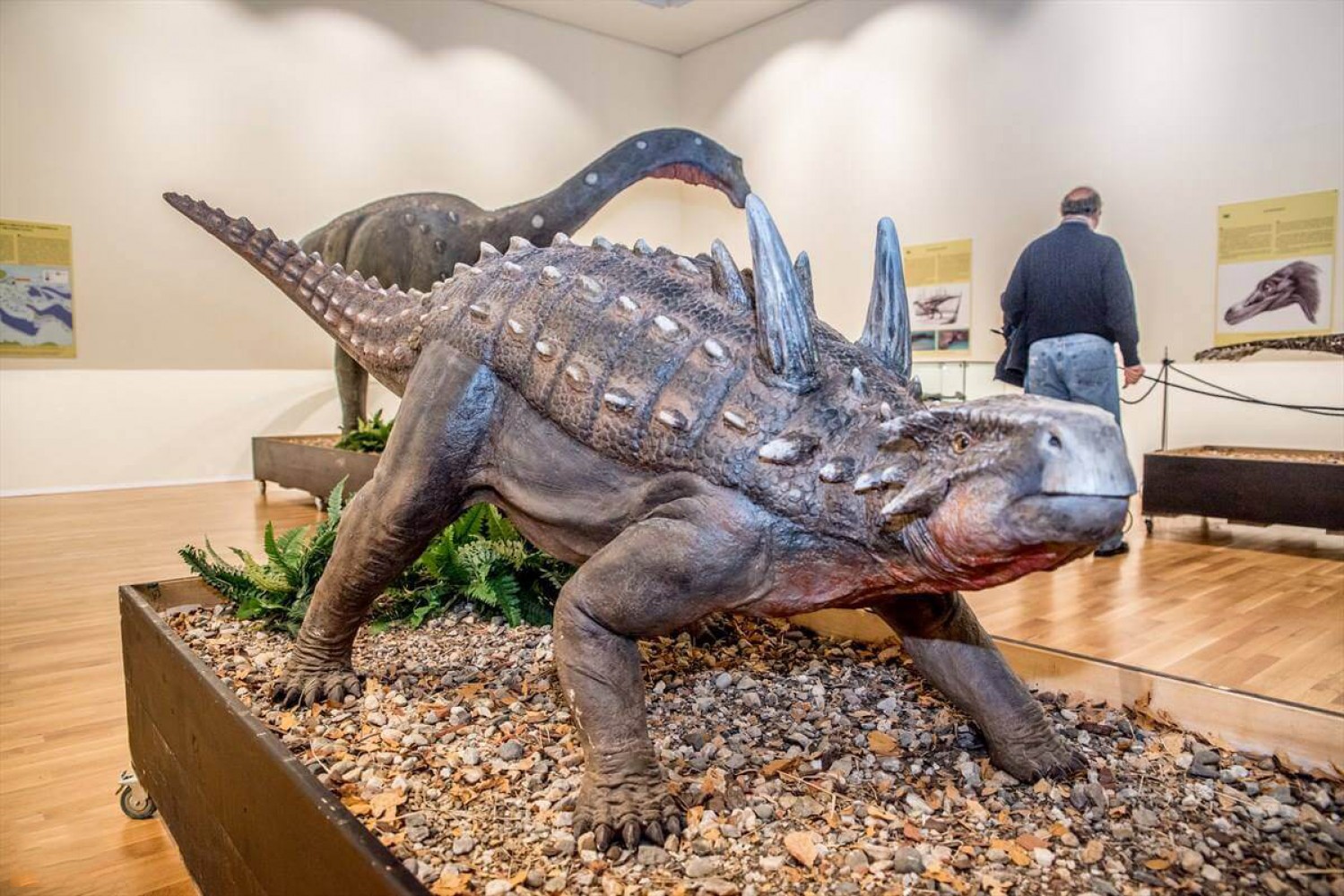 Muzeul Țării Crișurilor - expoziție dinozauri