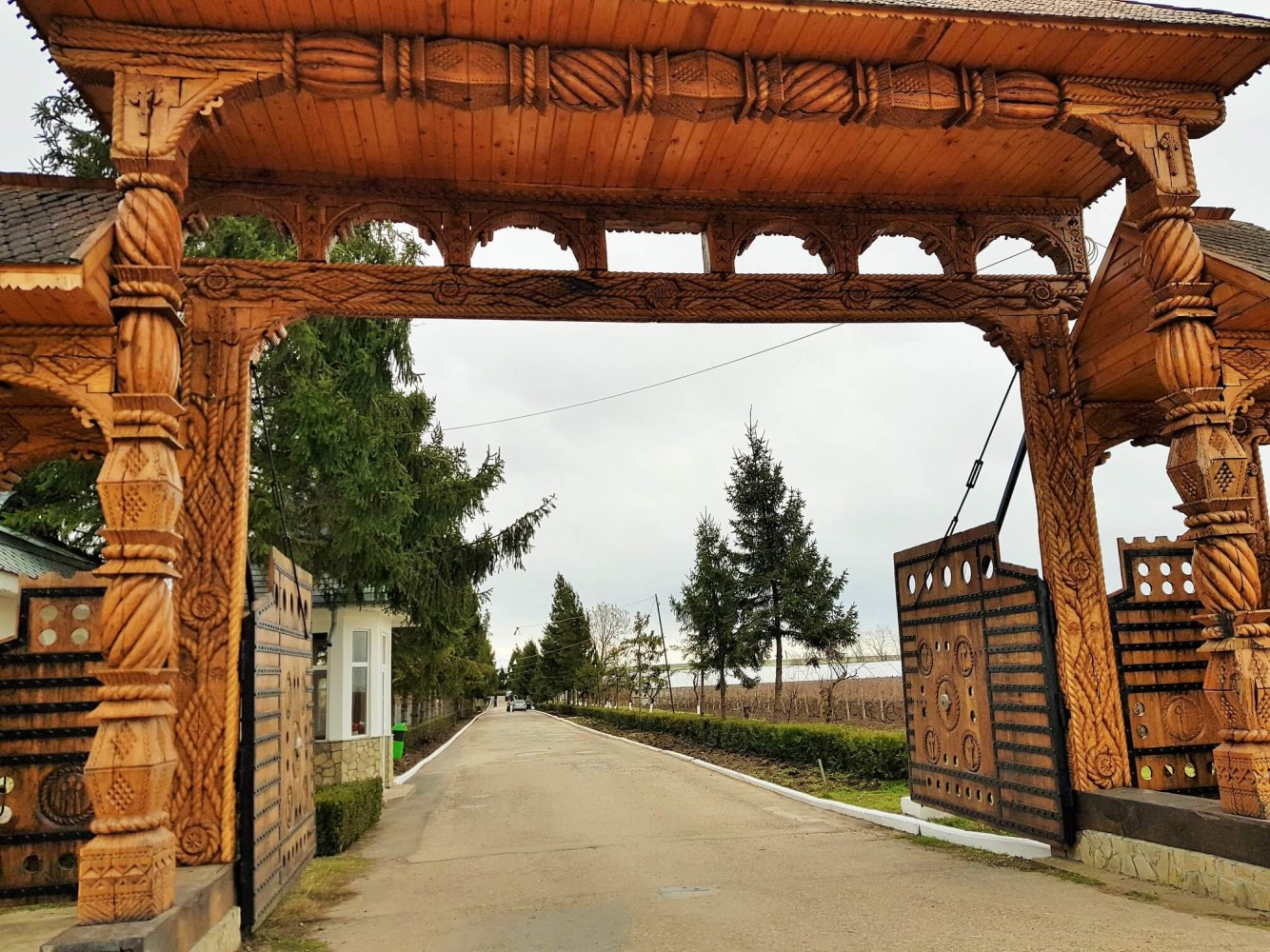 Mănăstirea Vladimirești - poartă intrare