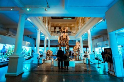 Muzeul Național de Istorie Naturală Grigore Antipa