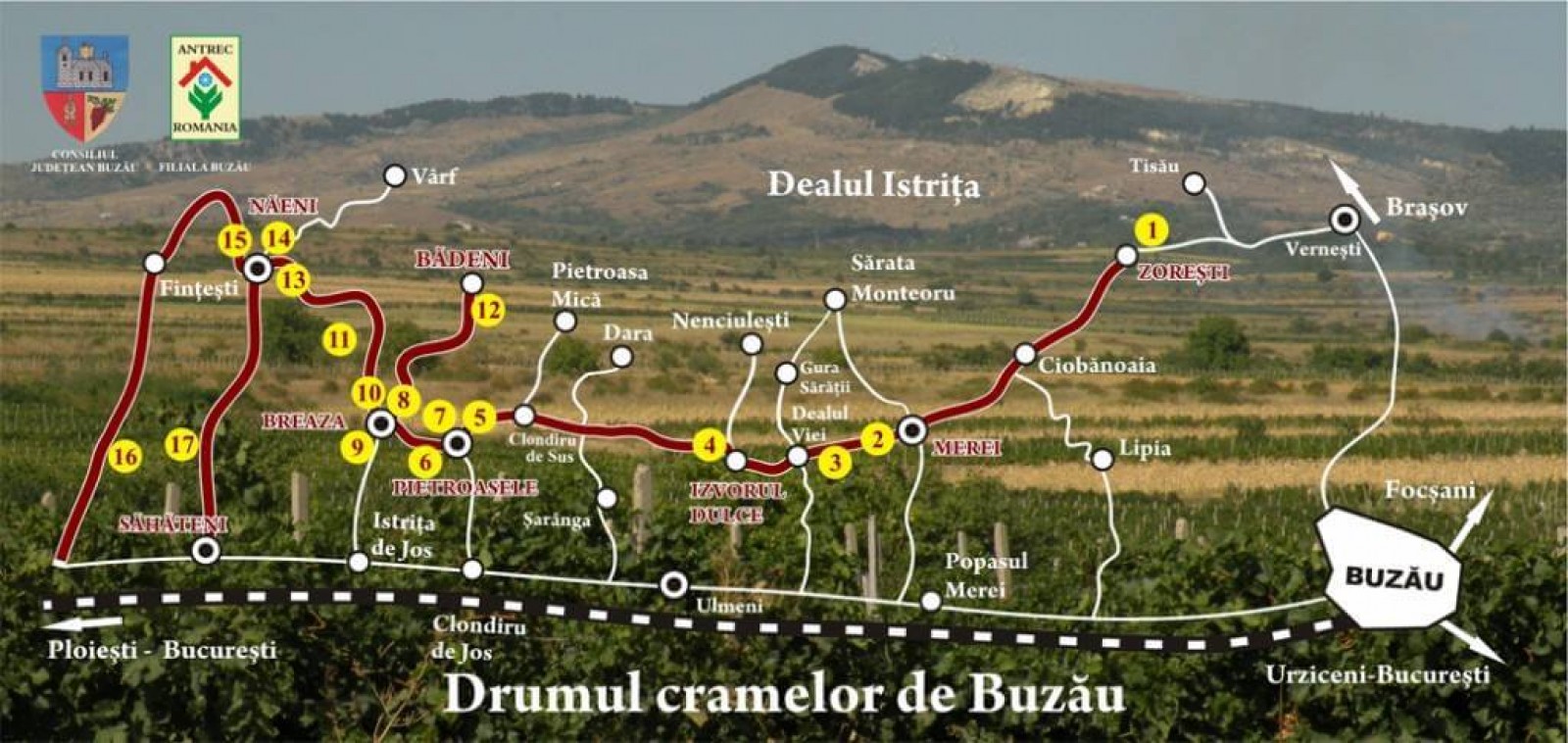 Drumul Vinului Buzău